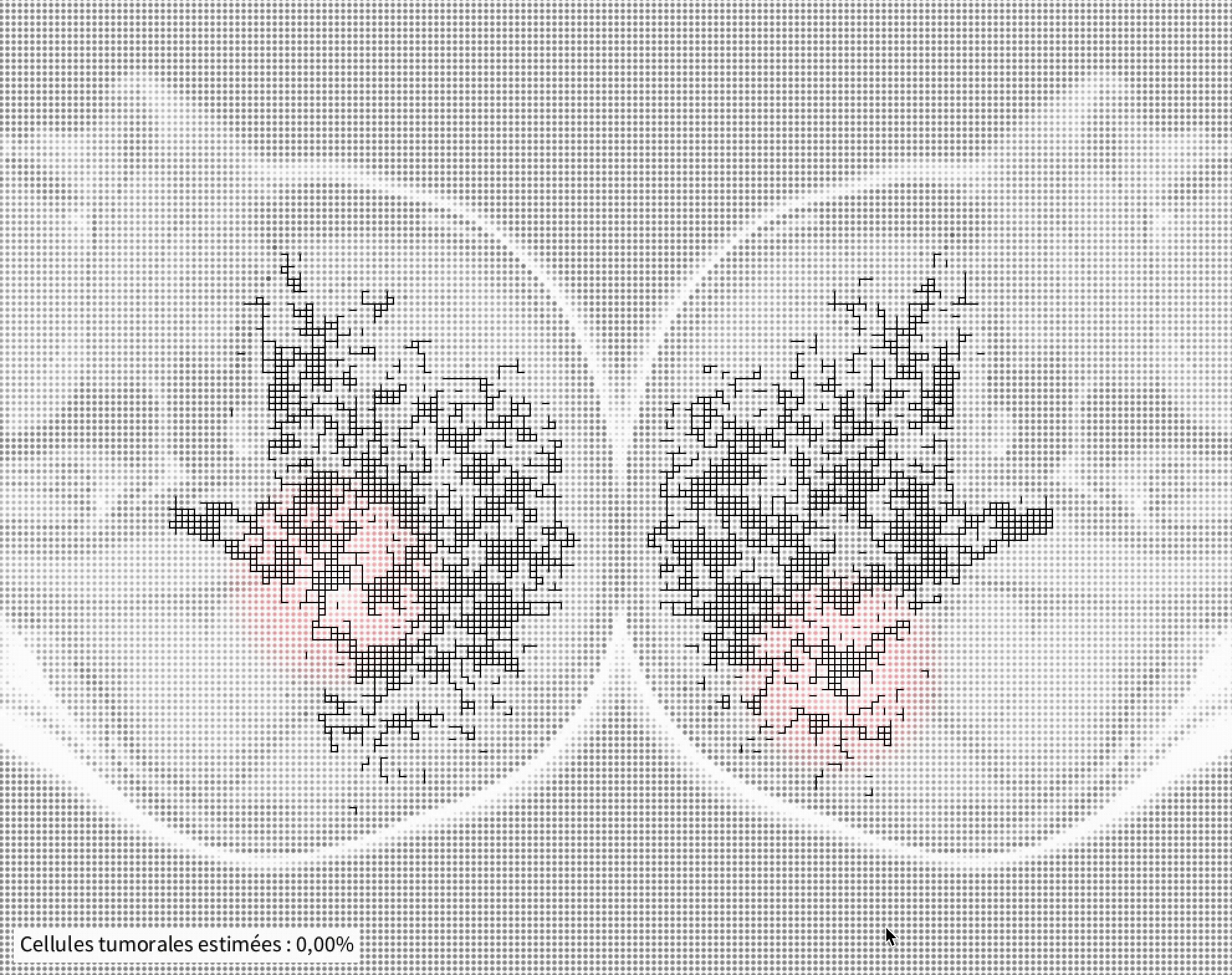 Brain roads recherches
