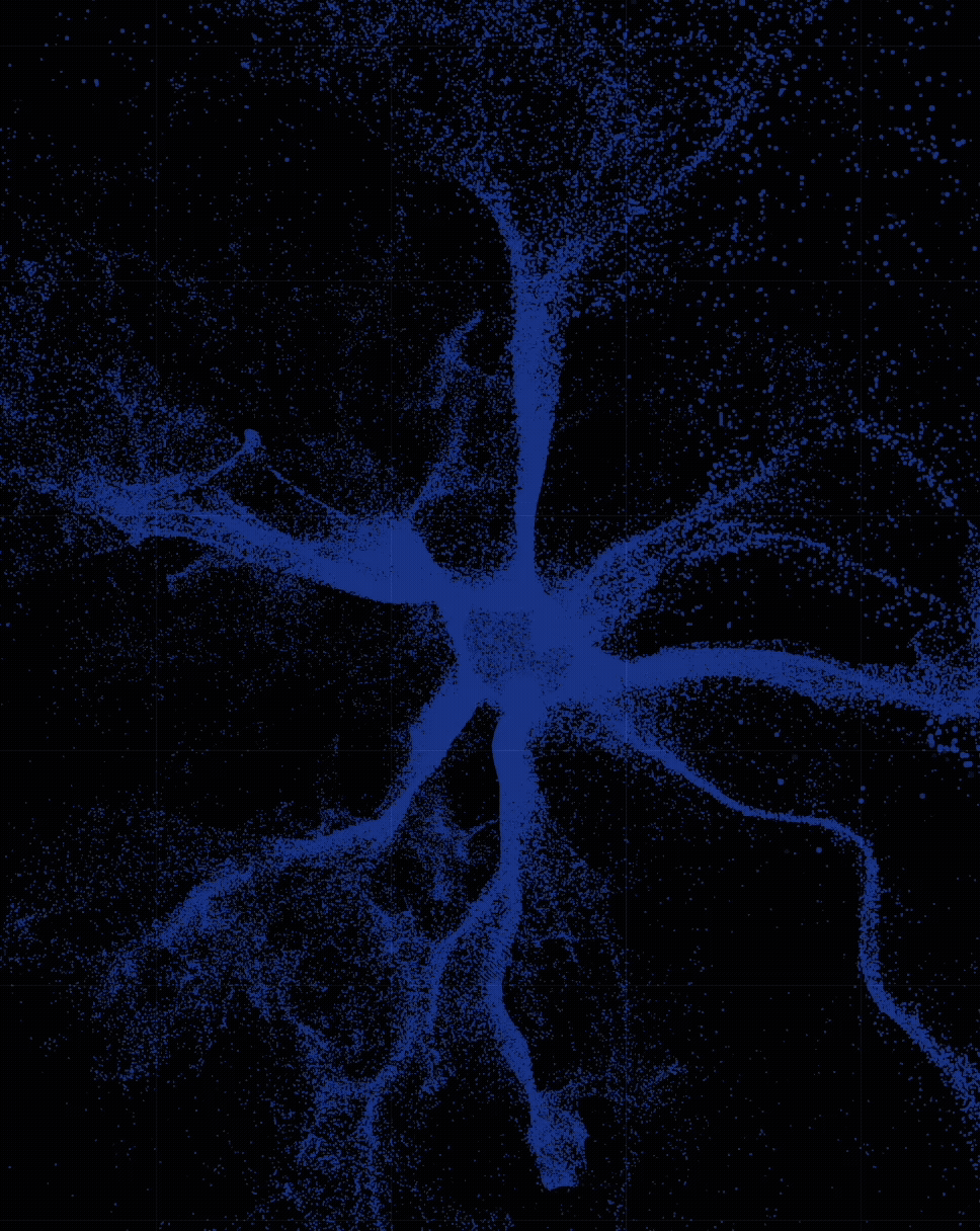 Brain roads semaine d'étude