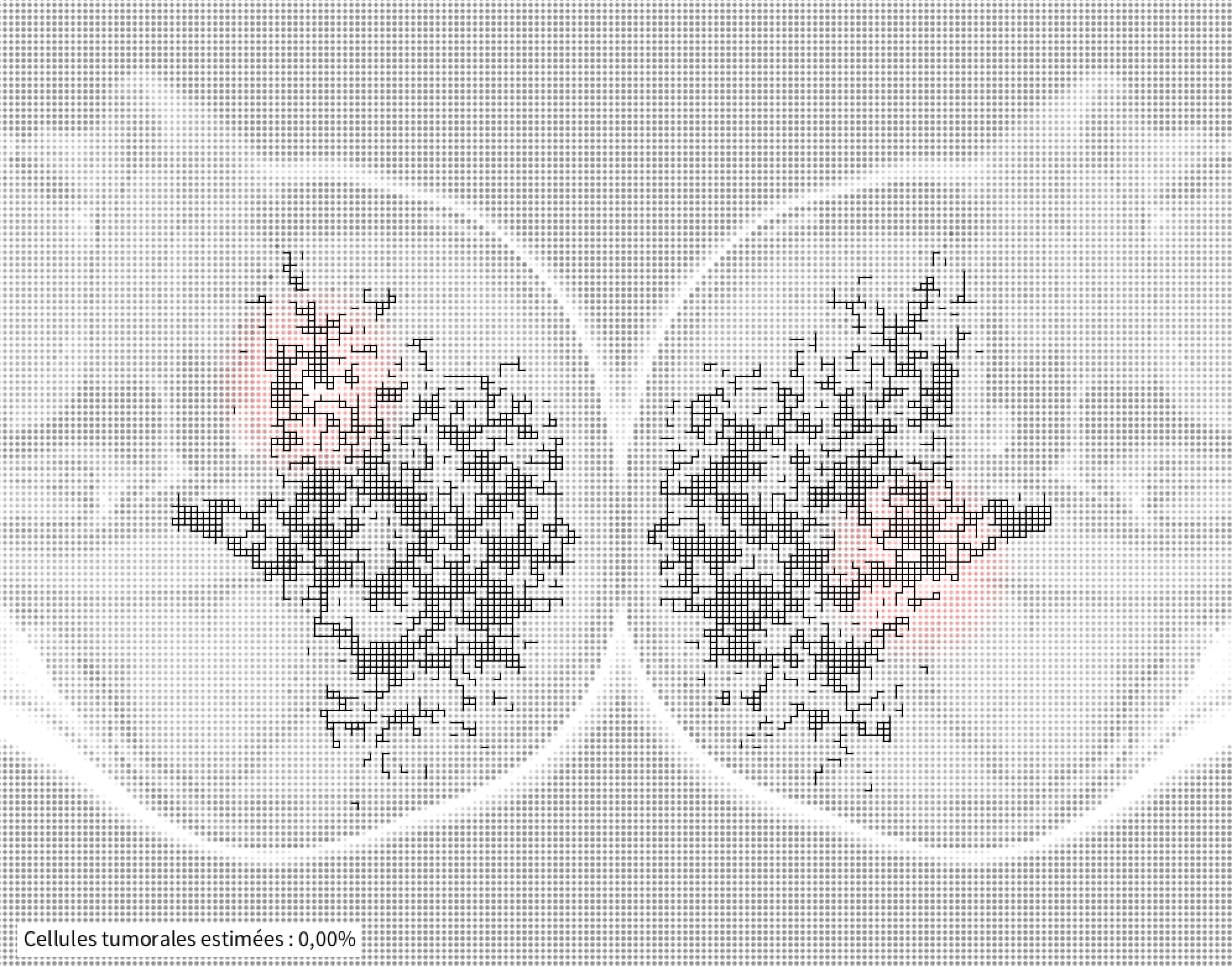 Brain roads recherches